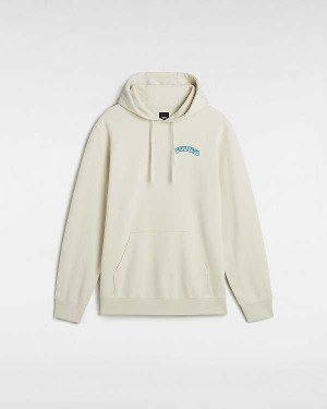 Beige Vans True Waves Men Hoodie | VN6154982