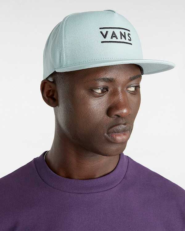 Blue Vans Half Box Unisex Hats | VN2891370